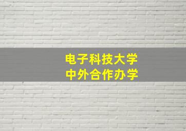 电子科技大学 中外合作办学